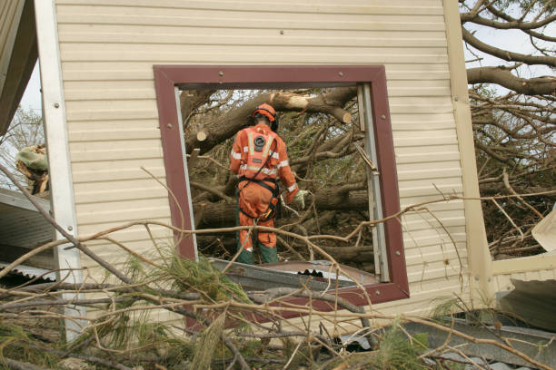 Tree Services